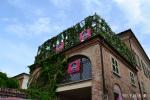 Giro d’Italia 2014. Le foto| stage 12,14 | Barbaresco, Oropa.