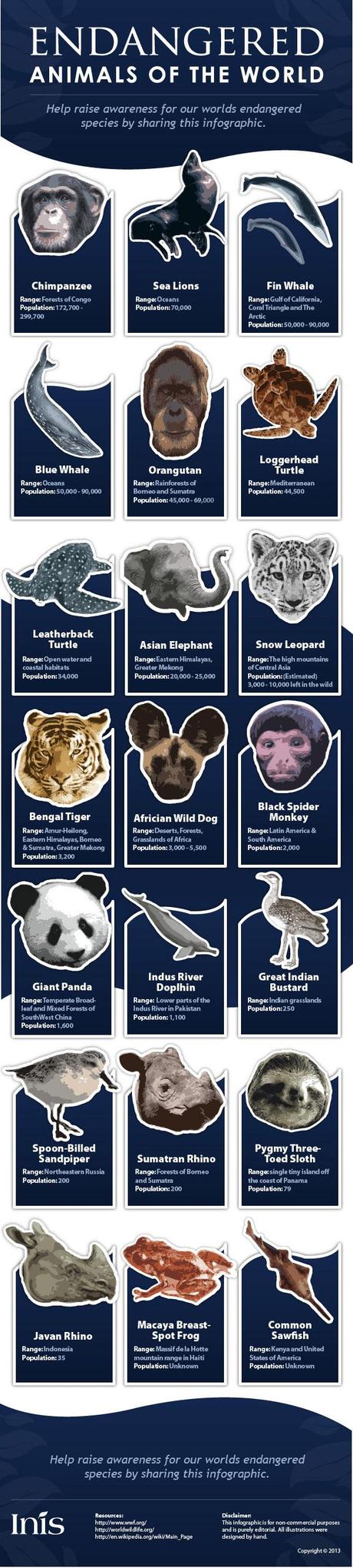 Animali in pericolo di estinzione nel mondo [Infografica].