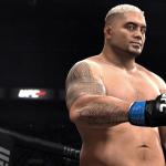 eas-ufc-mark-hunt-01