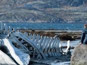 Cannes “Leviathan” (Premio Miglior Sceneggiatura)