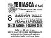 Teriasca Sori Sagra delle Acciughe