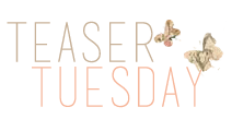 Teaser Tuesday #33 - Melchi di Sergio Schiazzano