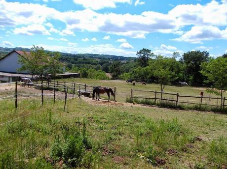 Stazzano (AL) e dintorni