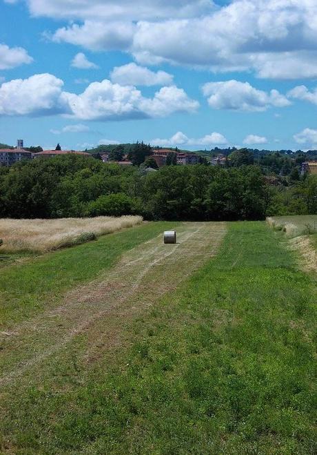 Stazzano (AL) e dintorni