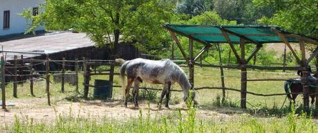 Stazzano (AL) e dintorni