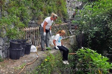 Macchia Mediterranea oggi in azione ....