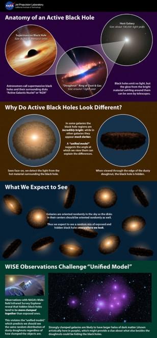 Questa infografica spiega la teoria sui buchi neri supermassicci: basandosi sui dati del Wide-field Infrared Survey Explorer, WISE, della NASA è stato smentito il modello precedente. Crediti: NASA/JPL-Caltech/NOAO/AURA/NSF/ESO