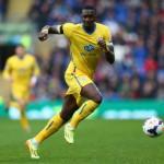 Cardiff City v Crystal Palace - Premier League