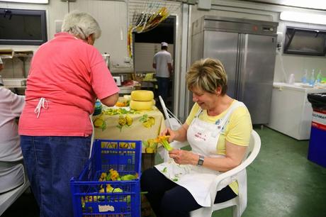 alla sagra del fiore di zucca fritto, La Serra