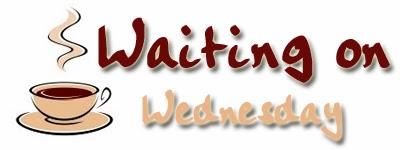 Rubrica: Waiting on Wednesday #9