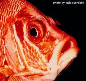 Erano le sei e mezza