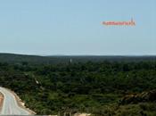 Western Australia: Nambung National Park dintorni