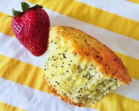 Muffins al limone e semi di papavero