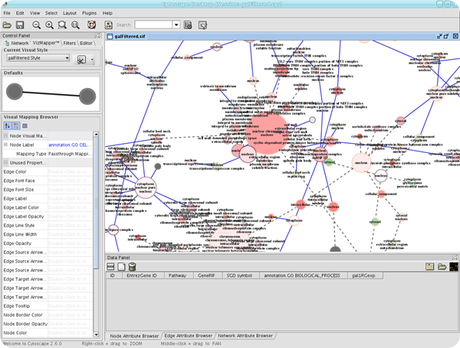 Guida a JGraph, programma per tracciare grafici e diagrammi strutturati: stringhe, etichette e legende.