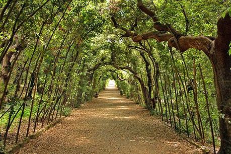 Splendidi giardini