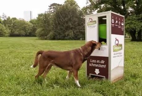 Funziona ad hashtag - il distributore automatico per cani :-)