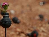 donna coltiva fiori lacrimogeni