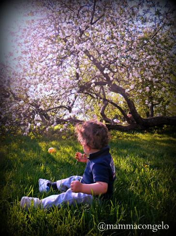 La primavera quando arriva, arriva!