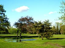 La primavera quando arriva, arriva!