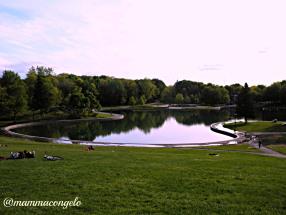 La primavera quando arriva, arriva!