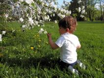 La primavera quando arriva, arriva!