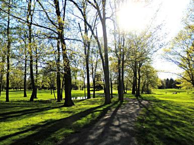 La primavera quando arriva, arriva!