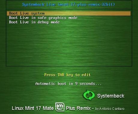 Mint 17 Mate Plus Remix schermata iniziale