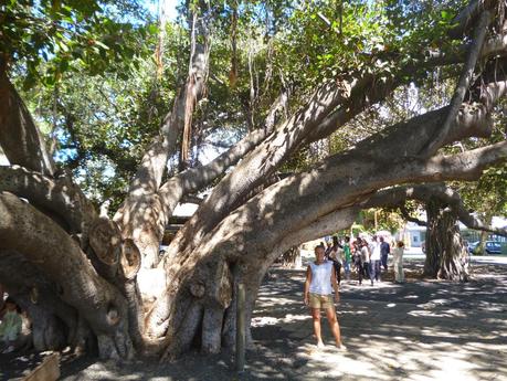 Aloha Kauwela ! #TravelTips