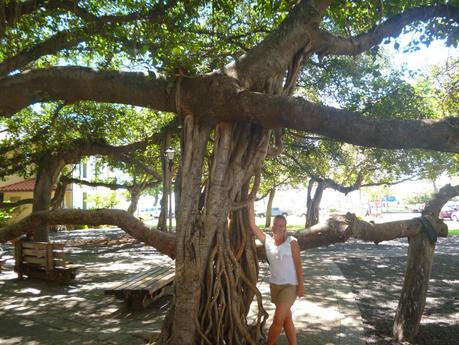 Aloha Kauwela ! #TravelTips