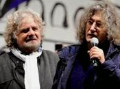 gatto volpe