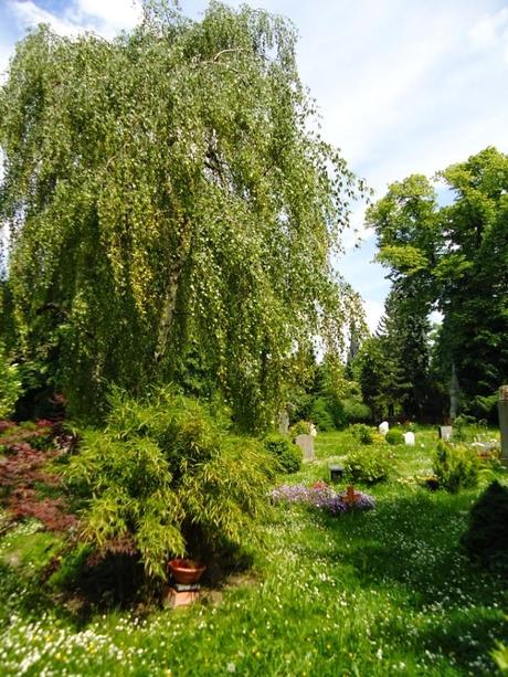 Cimiteri berlinesi