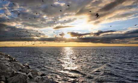 Acqua salata del mare Nord Atlantico risalente a 145 mila anni addietro