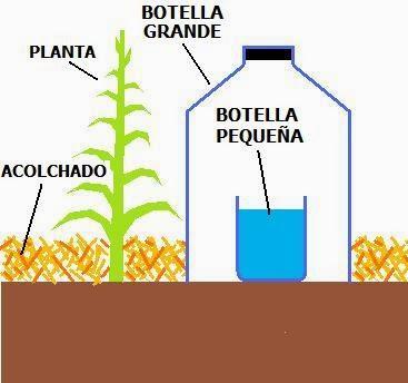 Tecnica di irrigazione con acqua salata di provenienza marina o con acque salmastre