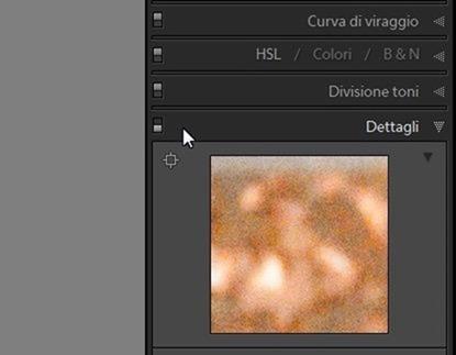 lightroom disattivare pannello