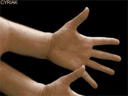handfingers