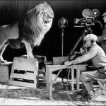 Un cameraman registra il famoso ruggito del leone della MGM