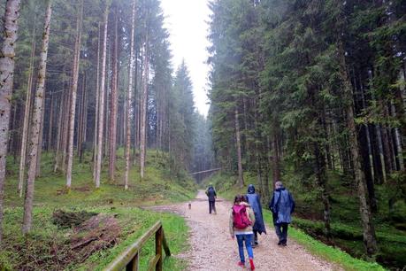 strada del vecchio trenino passeggiata asiago