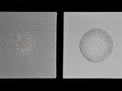 DEEP WHITE Manuela Toselli
