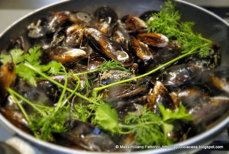 Come usare le erbette in cucina: cozze aperte e saltate in padella con aneto e coriandolo