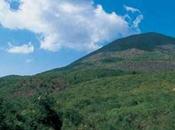 Scoperto cadavere Parco Vesuvio