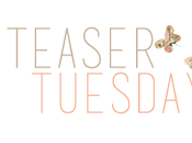 Teaser Tuesday L'amore bugiardo Gillian Flynn