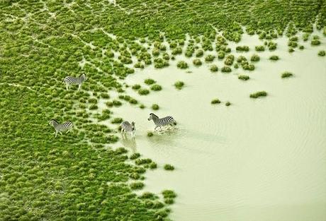 Botswana a 150 metri d'altezza Botswana a 150 metri d'altezza