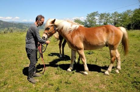 Agriturismo I Pianacci