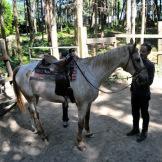 Sole e natura: a cavallo sulle colline pistoiesi con Sportboom