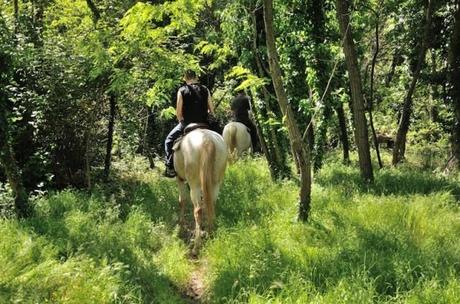 Agriturismo I Pianacci