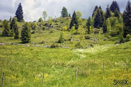 Perchè non possiamo fare come tutte le coppie del mondo...