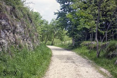 Perchè non possiamo fare come tutte le coppie del mondo...