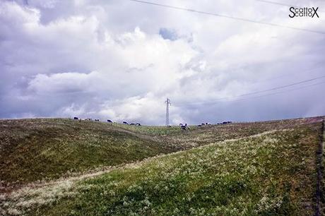 Perchè non possiamo fare come tutte le coppie del mondo...