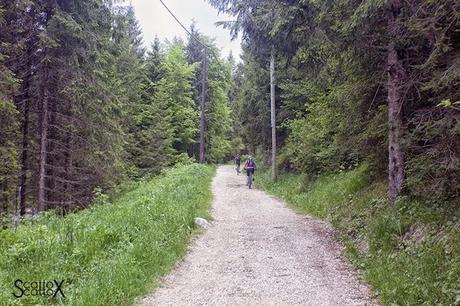 Perchè non possiamo fare come tutte le coppie del mondo...