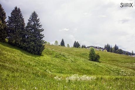 Perchè non possiamo fare come tutte le coppie del mondo...